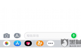闪电借款河南催收：揭秘借贷平台催收现状与应对策略