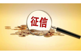崇左收债公司哪家好?——揭秘崇左债权回收领域的佼佼者 崇左收债公司哪家好?——揭秘崇左债权回收领域的佼佼者