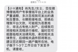 讨债不成怒砸车辆：法律视角下的冲动行为