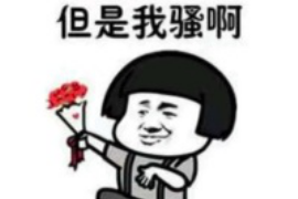 邯郸最大的要账公司：揭秘债务催收界的领军者