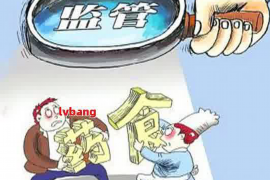 银行自己的催收系统：揭秘金融行业的“隐形守护者”