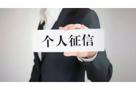 讨债说非法入侵：法律视角下的讨债行为