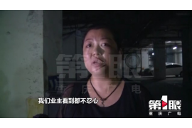 评价好的催收系统：高效债务管理的利器