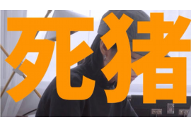 贷款催收PPT模板：高效沟通，提升催收成效