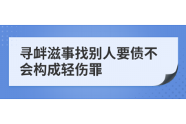 西湖清数公司：揭秘杭州领先的数据处理与解决方案提供商