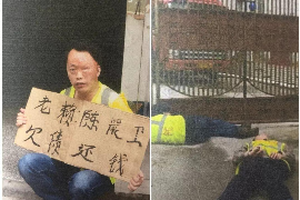 讨债公司泼油漆:探讨非法讨债行为的危害与对策 讨债公司泼油漆:探讨非法讨债行为的危害与对策