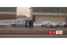 催收公司哪家专业？揭秘行业佼佼者