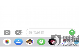 催收年中总结报告：回顾与展望