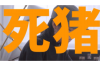 **重庆猪八戒小额贷款催收：解读催收流程与应对之策**