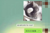 阎良横幅要账：一场关于诚信与权益的较量