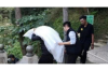 销售如何向顾客要账：巧妙沟通，轻松回款